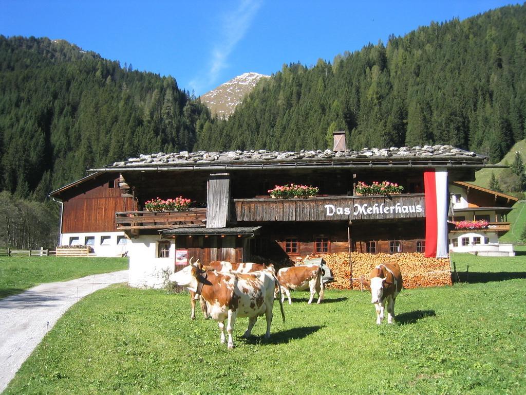 Ferienwohnung Mehlerhof Tux Exterior foto